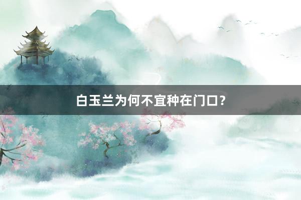白玉兰为何不宜种在门口？
